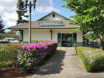 Flowering hedge in front of Centennial Station.