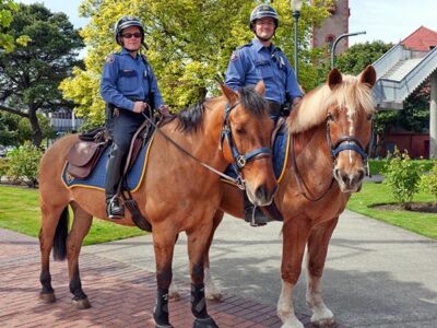 Mounted police at Union Station.